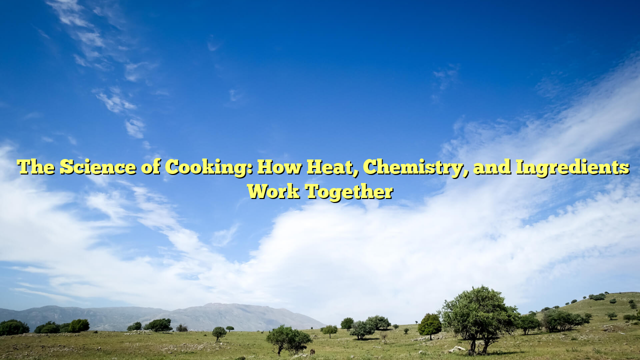 ﻿The Science of Cooking: How Heat, Chemistry, and Ingredients Work Together