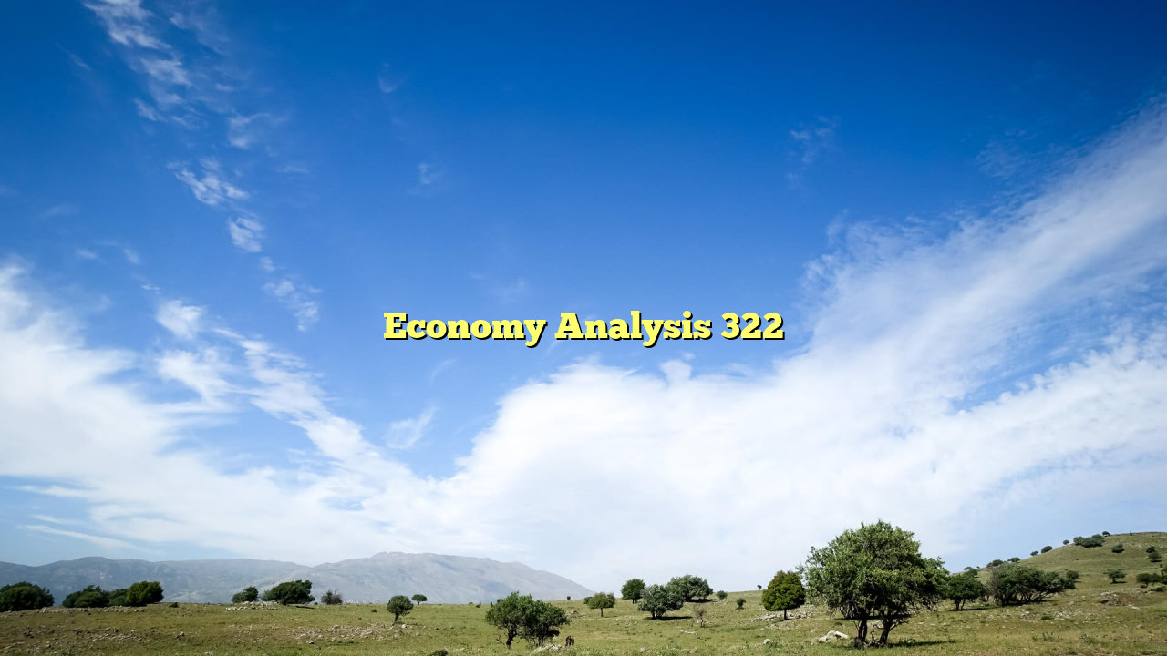 Economy Analysis 322