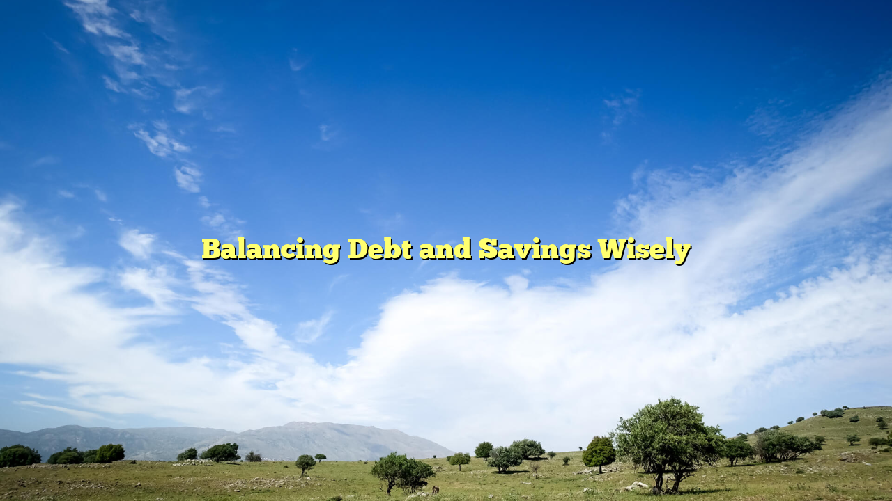 Balancing Debt and Savings Wisely