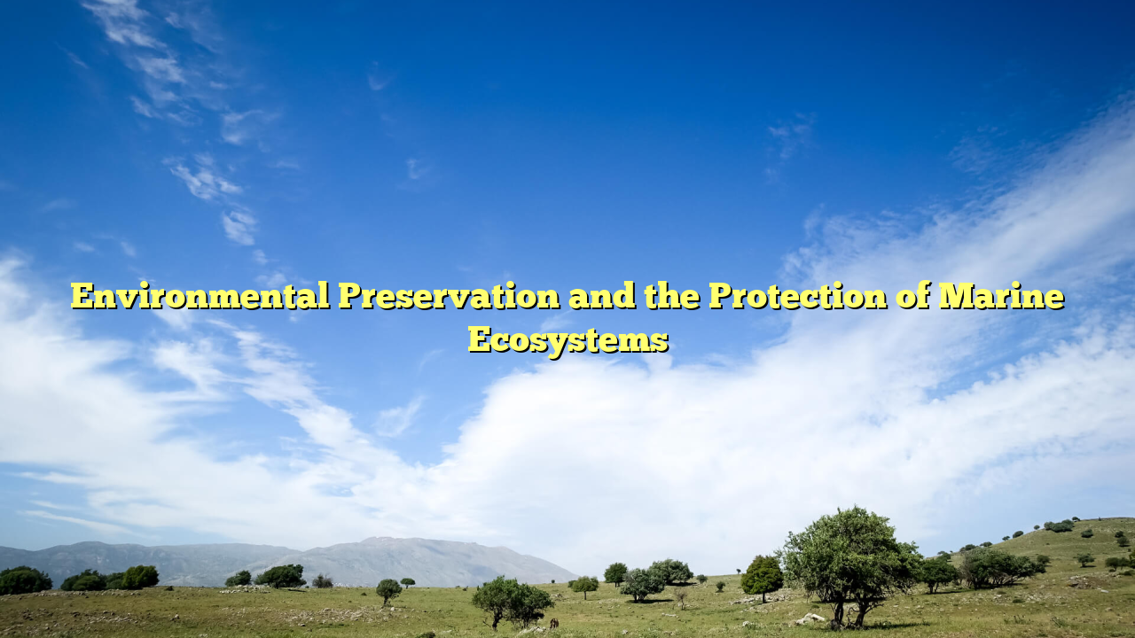Environmental Preservation and the Protection of Marine Ecosystems